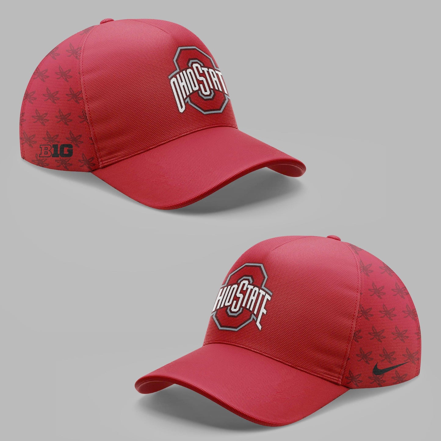 Premium Ohio State Buckeyes Sweatshirt 2025 Season