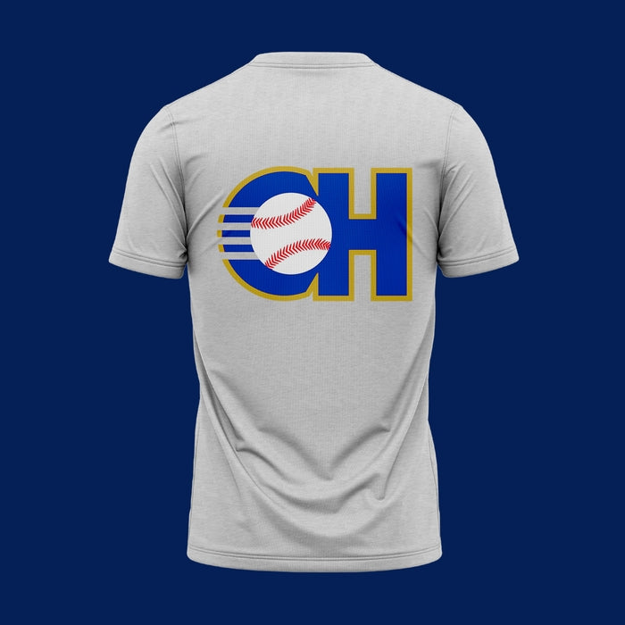 PREVENTA CAMISETA CAMPEONES ZONA NORTE v1